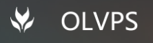 #生日优惠#OLVPS：国内外机房多重神秘优惠，洛杉矶安畅机房CN2 GIA线路特价机355每年