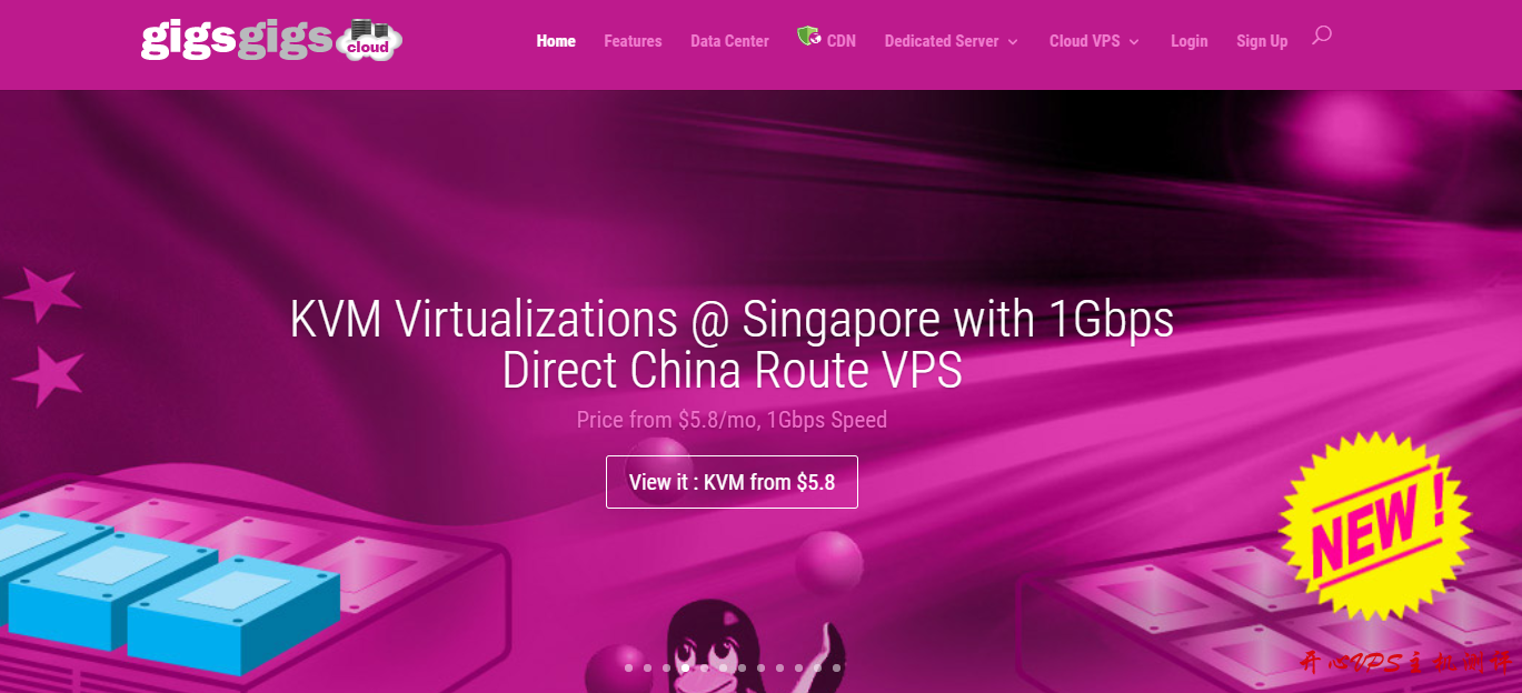 GigsGigsCloud：新上小内存美国CN2 GIA套餐 1核256M 500M带宽 $4.99/月 限量100套-国外主机测评