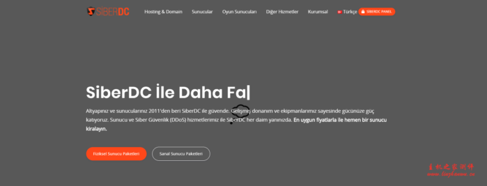 SiberDC：$2/月/1GB内存/30GB SSD空间/不限流量/1Gbps端口/KVM/土耳其