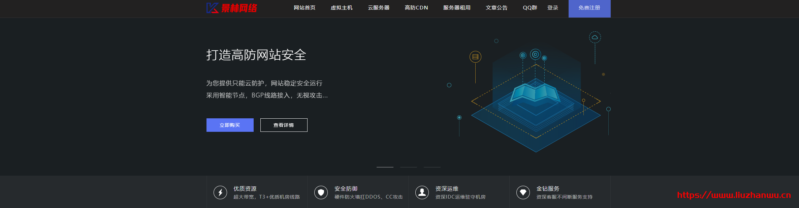 景林网络：官方资源,不超开,不限流量,kvm虚拟云技术香港CN2节点便宜20元一月,内有美国高防CN2回程防御200G-国外主机测评