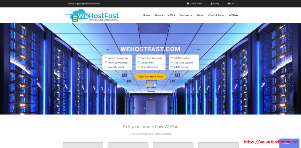 #黑五#WeHostFast：VPS全场25折优惠，1核/1G/10G SSD/1T/1Gbps/OVZ/年付$6