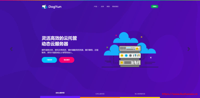 dogyun：破站论坛-定制VPS，终身8折，香港韩国美国cn2等，低至12元/月-国外主机测评