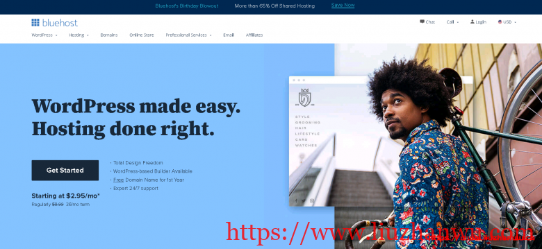 BlueHost ：美国VPS云主机2GB内存2TB流量20GB固态硬盘 月49元插图