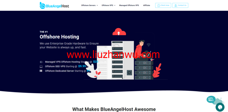 blueangelhost：保加利亚专业离岸主机，无视版权投诉，免费100G DDOS防护，KVM VPS $8.99起-国外主机测评