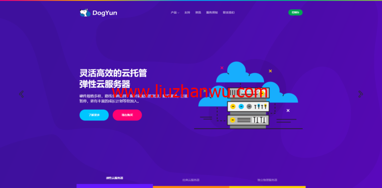 DogYun：双11优惠，新开独立服务器，每月优惠100元，充值110送10元插图