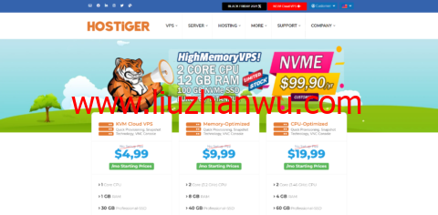 hostiger：土耳其便宜vps六折促销$19/年起，12GB内存特价机$99/年插图