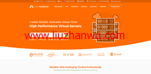 Hostnamaste：1核/1G/30G硬盘/1T/1Gbps/1IP/多国机房/OpenVZ 7，年付$20起插图