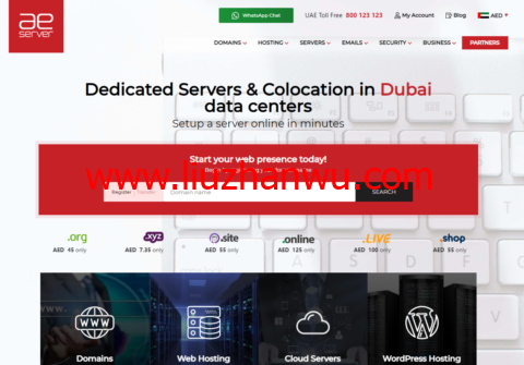 AEserver：迪拜VPS，1核/1G内存/30G SSD硬盘/不限流量/5M带宽，$27.00/月起，支持IPv6，迪拜独立服务器$160.00/月起-国外主机测评