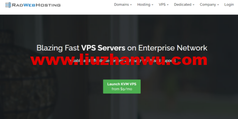 Radwebhosting：美国便宜vps，全场5折优惠，1核/512M内存/15GB SSD硬盘/1TB流量/100Mbps带宽，月付$7起，独立服务器月付$69.00起-国外主机测评