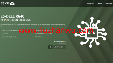 Ezvps：越南河内VPS，原生IP，1Gbps不限流量，支持Windows，月付28元起-国外主机测评