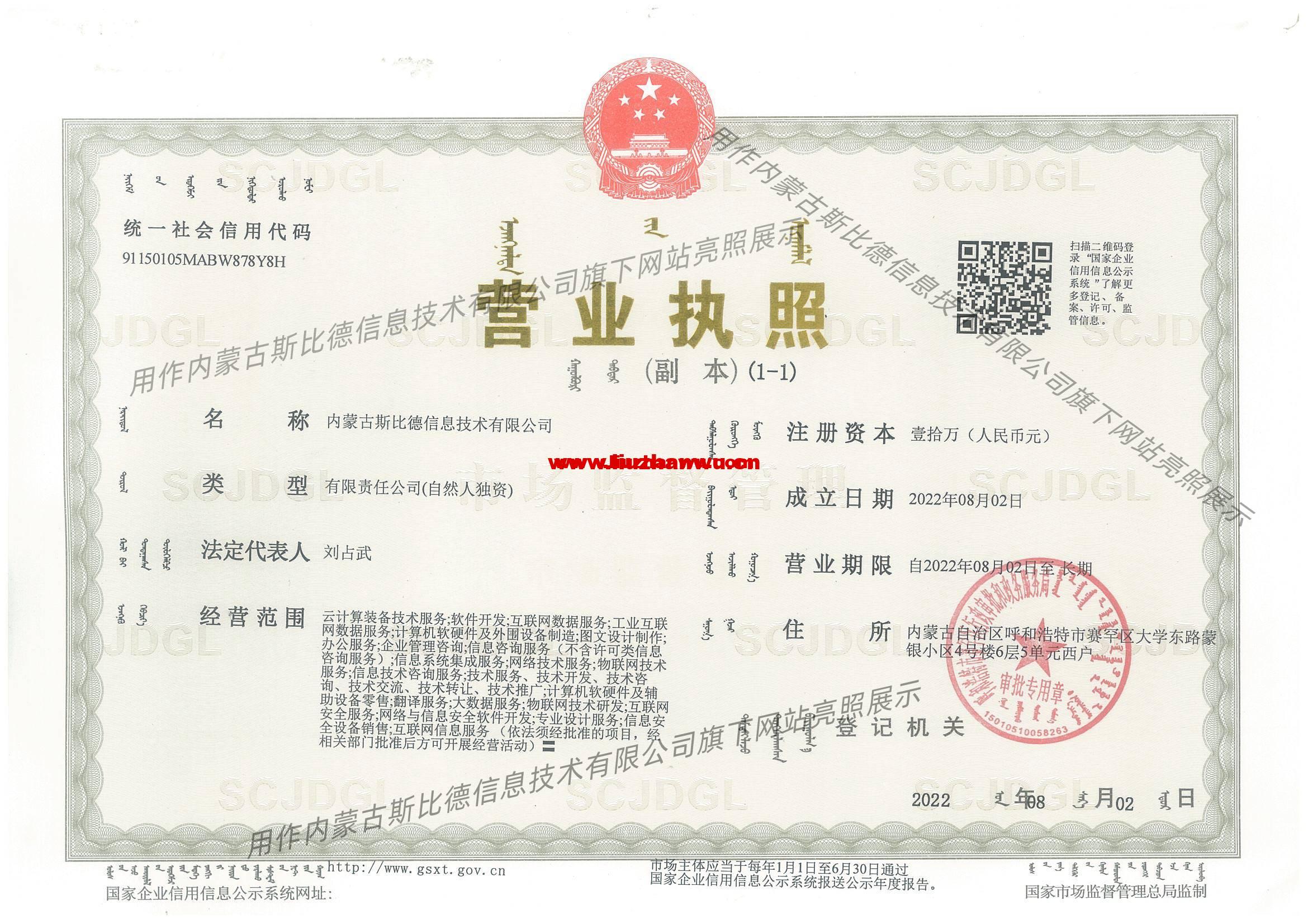 公司简介插图