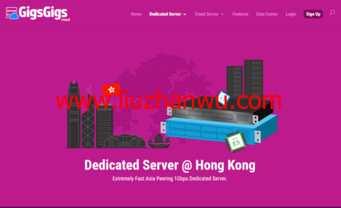 GigsGigsCloud：中国香港、日本 CN2 GIA VPS、服务器套餐续费五折优惠插图