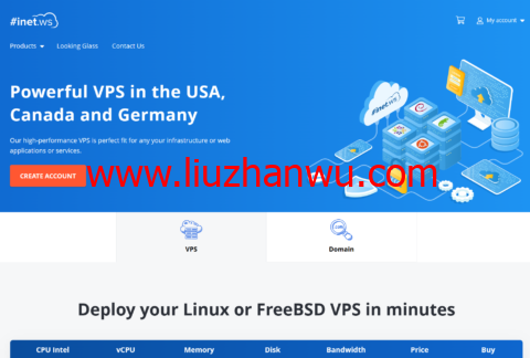 inetWS：国外便宜vps，1核/2GB/30G SSD/100M不限流量，$3/月起，13个机房可选-国外主机测评