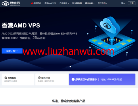 #11.11#野草云：香港VPS年付81元起(AMD+NVMe)，香港独立服务器199元/年起插图
